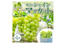 大房で食べ応え満点!「山梨県山梨市産 シャインマスカット 2房 約1kg」【1513030】