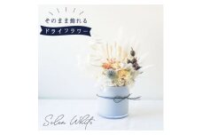 ドライフラワー「セレンホワイト」 おしゃれ そのまま飾れる シンプルで美しいアレンジ【1517013】