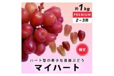 ハート型ぶどう 希少品種 マイハート 約1kg(2～3房) YAMANASHI PRIDEプレミアム【1517816】