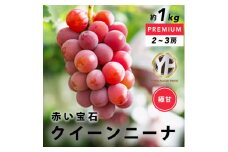 赤い大玉ぶどう 希少品種 クイーンニーナ 約1kg YAMANASHI PRIDEプレミアム【1517215】