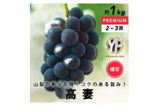 濃厚な甘みの希少品種 ぶどう 高妻 約1kg(2～3房) YAMANASHI PRIDEプレミアム【1517819】