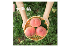 三十屋木熟桃 ＜3kg＞【1515554】