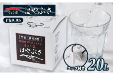 りょう泉はやぶさ　バックインボックス(20L/コック付)【1031768】