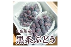 黒系ぶどう2房(合計1kg程度)【1521016】