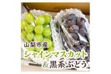 シャインマスカット&黒系ぶどう 各1房(2房合計1kg程度)【1521014】