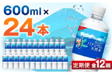 ＜毎月定期便＞＜12か月お届け＞バナジウム天然水 600ml＜24本入＞アサヒ飲料全12回_水 ミネラルウォーター ウォーター ミネラル 定期便 バナジウム 天然水 飲料 ドリンク ベビー 防災 キャンプ アウトドア 山梨市【4053311】