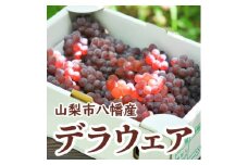 山梨市八幡産デラウェア!びっくり大房種無しぶどう2Lサイズ5～7房(約2kg)【1521010】
