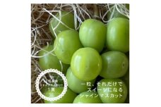 シャインマスカット 1房 ( 500g 以上 ) 山梨県産【1531488】