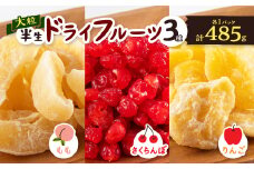 やまなし半生ドライフルーツ食べ比べ3種セット(もも/サクランボ/りんご)485g【1515244】