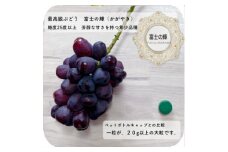 富士の輝　大房800g以上　1房【1525932】