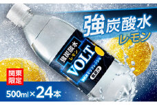 ＜関東のみお届け＞強炭酸水 500ml24本計12LサーフVOLT(ボルト)レモン　国産ペットボトル【1532981】