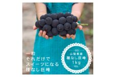 巨峰ぶどう(種なし) 　2房　1kg 以上　産地直送　山梨県山梨市牧丘産【1535963】