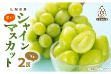 ＜訳あり＞ 池田青果のシャインマスカット2房　1kg ふるさと納税【1544089】