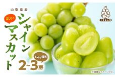 ＜訳あり＞池田青果のシャインマスカット2房～3房1.2kg相当ふるさと納税【1544093】