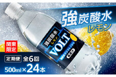 ＜毎月定期便＞＜関東のみお届け＞強炭酸水レモン500ml24本計12LサーフVOLT(ボルト)全6回【4055697】