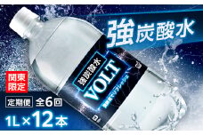 ＜毎月定期便＞＜関東のみお届け＞ 強炭酸水 1L 12本 計12L サーフVOLT(ボルト) 全6回【4055700】
