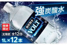 ＜毎月定期便＞＜関東のみお届け＞強炭酸水1L12本 計12L サーフVOLT(ボルト)1L 全12回【4055701】