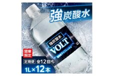 ＜毎月定期便＞＜関東のみお届け＞強炭酸水1L12本 計12L サーフVOLT(ボルト)1L 全12回【4055701】
