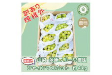 数量限定! 山梨 萩原フルーツ農園の＜訳あり規格外品＞シャインマスカット 約4kg　【1544642】
