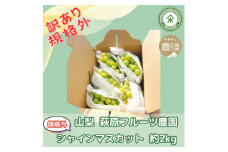 数量限定! 山梨 萩原フルーツ農園の＜訳あり規格外品＞シャインマスカット 約2kg　【1544663】