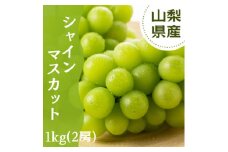 やみつきシャインマスカット 1kg秀【1546294】