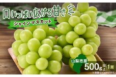 やみつきシャインマスカット 優 500g以上(1房)【1551175】