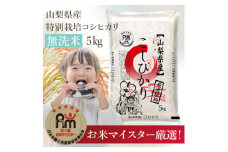 ＜無洗米＞山梨県産「特別栽培コシヒカリ」5kg 南アルプスと八ヶ岳連峰のおいしいお米 地球に優しい【1554553】