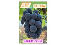 ピオーネ2房(1.3～1.5kg)【1555648】