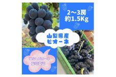 ＜2026年先行予約＞ピオーネ2～3房(約1.5kg)【1555648】