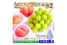 ＜発送月固定定期便＞2026年発送 山梨フルーツ旬の果物 桃+シャインマスカット 全2回【4057484】
