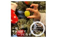 ＜12月1月発送＞冬に食べられる シャインマスカット 2房 (計1kg以上)山梨産【1560607】