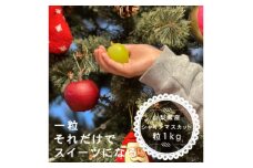 ＜12月1月発送＞冬に食べられる シャインマスカット  粒 (1kg以上)山梨産【1560611】