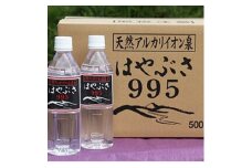＜毎月定期便＞りょう泉はやぶさ　995〈500ml×24本〉全3回【4058671】