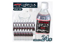 ＜毎月定期便＞りょう泉はやぶさ　995〈500ml×24本〉全6回【4058673】