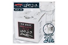 ＜毎月定期便＞りょう泉はやぶさ　バックインボックス(20L/コック付)全6回【4058694】