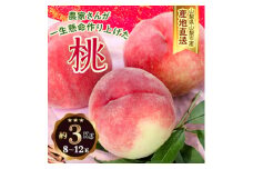 山梨県山梨市産 桃 約3kg(8～12玉)【1561140】
