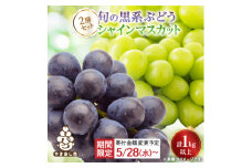 ＜寄付金額変更 12,000円→11,000円＞山梨産シャインマスカットと黒系葡萄2色セット【1564591】