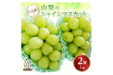 シャインマスカット　2房 1kg【1565519】