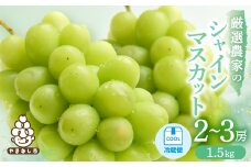 ＜2026年発送 先行受付＞シャインマスカット　2～3房 1.5kg【1565515】