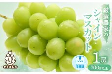 ＜2026年発送 先行受付＞厳選農家のシャインマスカット 700g以上 1房　化粧箱入り【1565534】