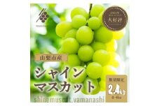 シャインマスカット 4～6房(計約2.4kg)＜訳あり＞【1567962】