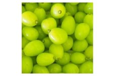 シャインマスカット 粒 約1.2kg ＜訳あり＞ご家庭用 ぶどう 切り落とし【1568100】