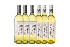 サントネージュワイン　甲州・シャルドネ6本セット【1570597】