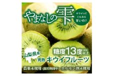 ＜フルーツ王国山梨＞が贈る　大玉完熟キウイフルーツ　1パック5個入り×6パックセット【1567651】
