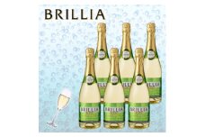 スパークリングワイン「ブリリア　白」720ml 6本セット【1573150】
