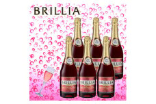 スパークリングワイン「ブリリア　赤」720ml 6本セット【1573151】
