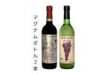 未来夢ワイナリー　ナチュラルワイン　甲州&ヤマゾービニオン 2本【1572914】