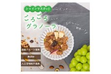 グラノーラ 食べ比べセット 60g×4袋 桃 柿 シャインマスカット ドライフルーツ入り 無添加_ 果物 フルーツ くだもの カキ もも オートミール シリアル レーズン シャインマスカットレーズン 人気 おすすめ 無添加 贈答 ギフト ロス果 エシカル 【1575388】