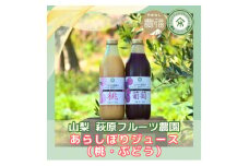 山梨 はぎふる＜数量限定＞あらしぼり 桃ジュース・ぶどうジュース 各1本【1575195】