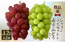 山梨直送!!シャインマスカットと赤系ぶどう　2房(計1.2kg以上)【1579255】